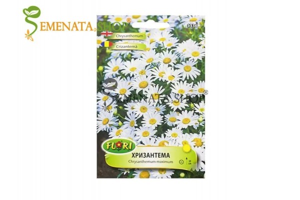 Семена на ниска Хризантема Бяла - Chrysanthemum maximum (до 35 см височина)